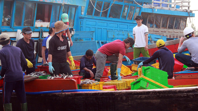 Các ngư dân đưa cá lên bán cho thương lái, đó là thành quả của những ngày lênh đênh - Ảnh: Trần Mai
