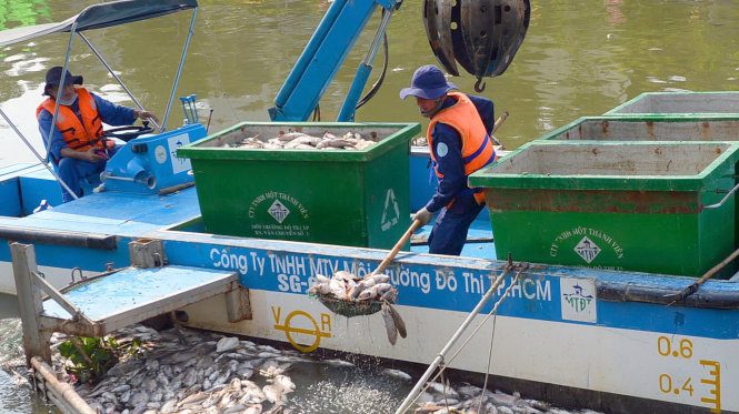 Nhân viên Công ty TNHH MTV Môi trường đô thị TP.HCM vớt cá chết trên kênh Nhiêu Lộc - Thị Nghè vào tháng 5-2016 - Ảnh: Hữu Khoa