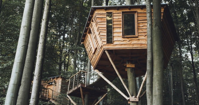 Căn nhà trên cây được thiết kế như những tổ chim ở khách sạn Robin’s Nest Treehouse
