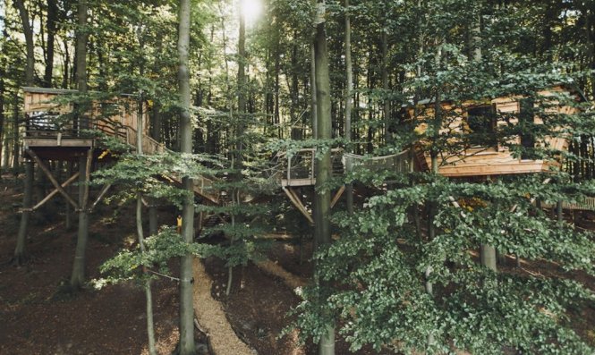 Khu nhà trên cây ẩn trong khu rừng xanh tốt, mang lại không gian yên tĩnh, thanh bình - Ảnh: Inhabitat