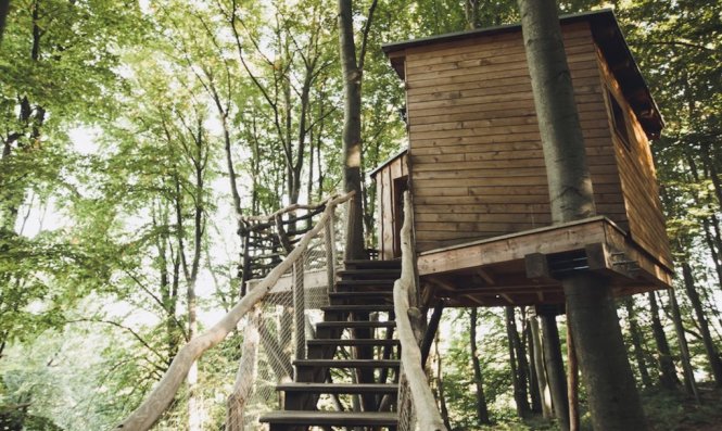 Cầu thang dẫn lên mỗi căn nhà trên cây - Ảnh: Inhabitat