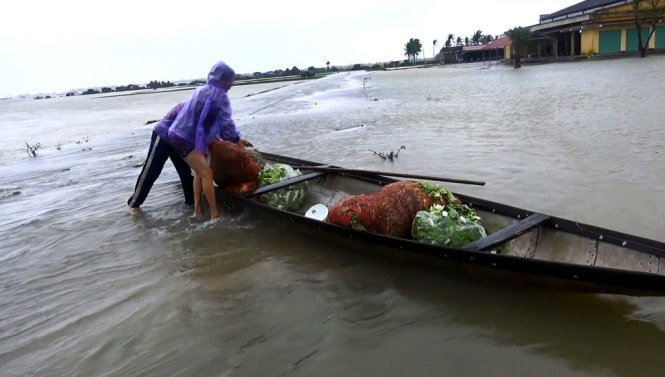 Người dân ở xã Quảng Thọ (thị xã Hương Trà, Thừa Thiên - Huế) cấp tập thu hoạch rau trồng để đem ra chợ bán vì sợ ngập úng vào chiều 14-12 - Ảnh: NHẬT LINH