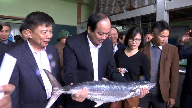 Bộ trưởng, chủ nhiệm Văn phòng Chính phủ Mai Tiến Dũng kiểm tra hải sản tồn đọng ở Quảng Bình