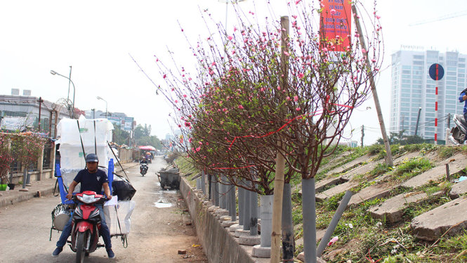 Chợ hoa Quảng Bá là nơi bán nhiều loại đào. Những cành đào bung nở được để dọc hai bên đường hút mắt người dân thủ đô - Ảnh: HÀ THANH