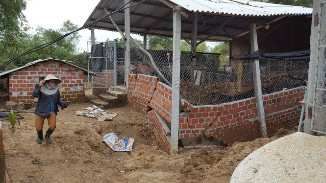 Chuồng trại nuôi heo trong nông trại của bà Trịnh Thị Tam (xã Cát Sơn, huyện Phù Cát, tỉnh Bình Định) bị lũ cuốn đổ sập – Ảnh: DUY THANH