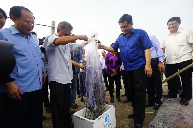 Bí thư Thành ủy TP.HCM Đinh La Thăng thăm một mô hình nuôi tôm tại huyện Cần Giờ, TP.HCM sáng 25-12 - Ảnh: Quang Định