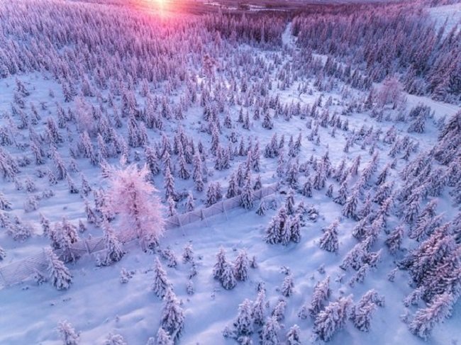 Tuyết phủ trắng Lapland mùa đông