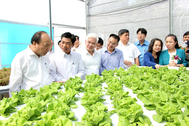 Thủ tướng thăm mô hình trồng rau thủy canh tại Trung tâm nông nghiệp công nghệ cao tỉnh Bình Phước  - Ảnh: BÙI LIÊM