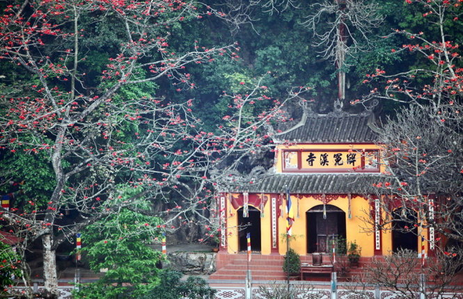 Hoa gạo ở chùa Giải Oan - thuộc quần thể danh thắng chùa Hương - Ảnh: tư liệu