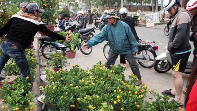 Người dân Đà Nẵng mua hoa tại chợ hoa Tết 2016 - Ảnh: Đoàn Cường