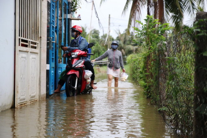 Đến chiều 5-1 nước vẫn còn lênh láng các con đường dẫn vào nhà dân tại khu dân cư dọc bên bờ bao Tam Phú - Ảnh: Lê Phan