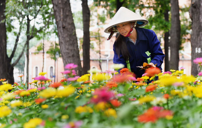 Nhân viên Công ty TNHH MTV Công viên cây xanh TP.HCM chăm sóc vườn hoa tại công viên 30-4 (Q.1, TP.HCM) - Ảnh: HỮU KHOA
