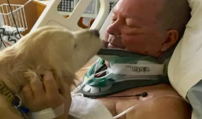 Ông Bob và chó cưng Kelsey - Ảnh: Bệnh viện McLaren Bắc Michigan