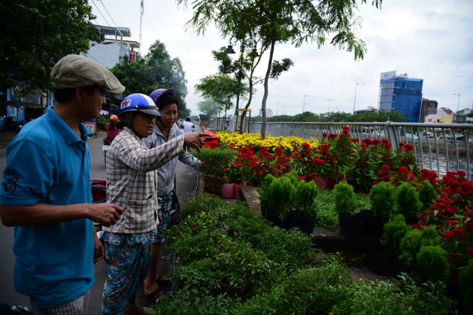 Những vị khách sớm mua hoa tết tại bến Bình Đông, Q.8, TP.HCM - Ảnh: Hữu Thuận