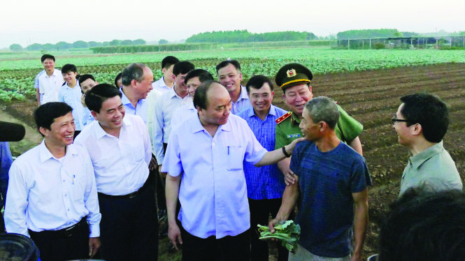 Thủ tướng Nguyễn Xuân Phúc ra thăm cánh đồng rau sạch ở Gia Lâm sáng sớm 27-9-2016 sau khi thị sát chợ đầu mối Long Biên (Hà Nội) - Ảnh: Lê Kiên