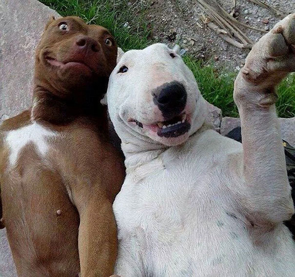 Hai kẻ thích selfie