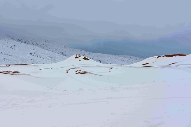 Cát nằm lấp ló trong tuyết tạo nên hình ảnh lạ lùng - Ảnh:  Zineddine Hashas/Geoff Robinson Photography