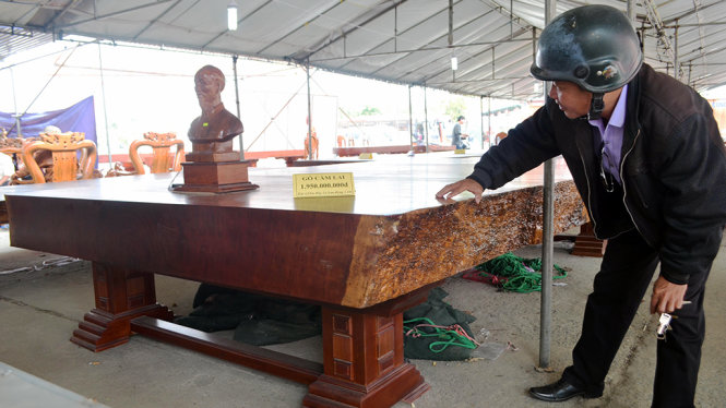 Tấm phản gỗ cẩm lai khủng được rao giá gần 2 tỉ đồng - Ảnh: TẤN LỰC