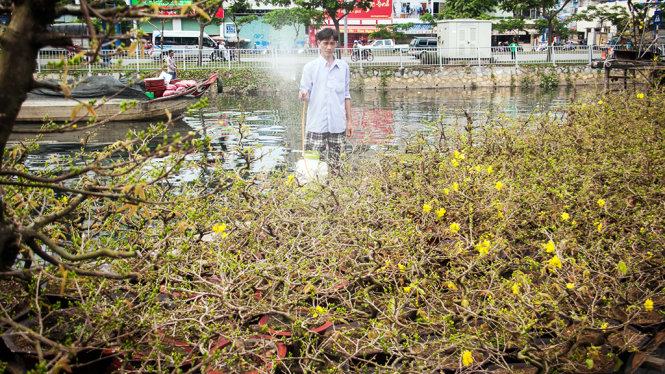 Giữa dòng kênh xanh, người nông dân chăm chút cho thuyền hoa của mình