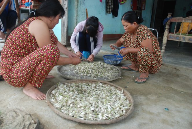 Những người phụ nữ trong thôn An Xuyên 3 chuẩn bị đồ để làm món kiệu muối ăn trong những ngày tết - Ảnh: BÁ DŨNG