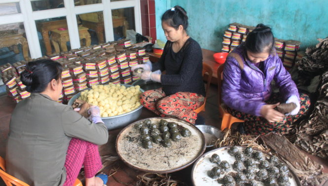 Người dân xã Thọ Diên, huyện Thọ Xuân (Thanh Hóa) gói bánh gai Tứ Trụ phục vụ thị trường những ngày Tết Đinh Dậu năm 2017 - Ảnh: Hà Đồng