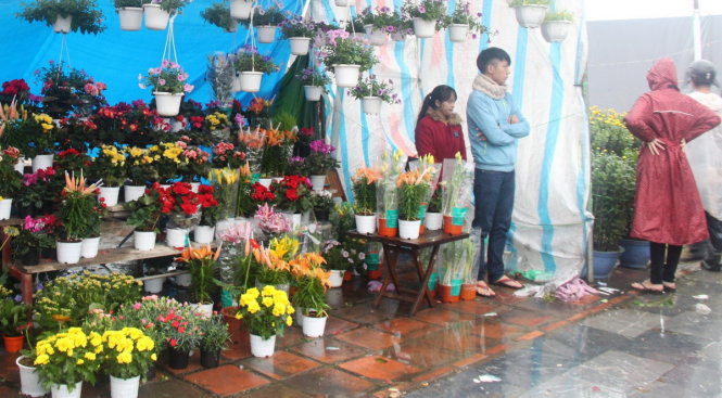 Cảnh vắng tanh ở một gian hàng hoa Đà Lạt đủ loại - Ảnh: MINH AN