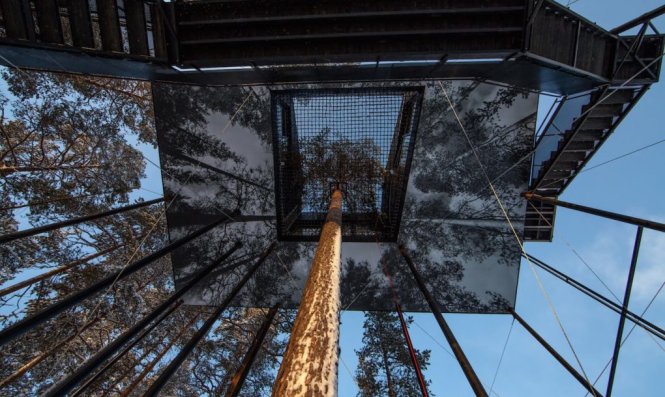 Mặt đáy của căn phòng được bọc bằng hình ảnh rừng thông, tạo ảo giác căn phòng như vô hình khi nhìn từ dưới lên