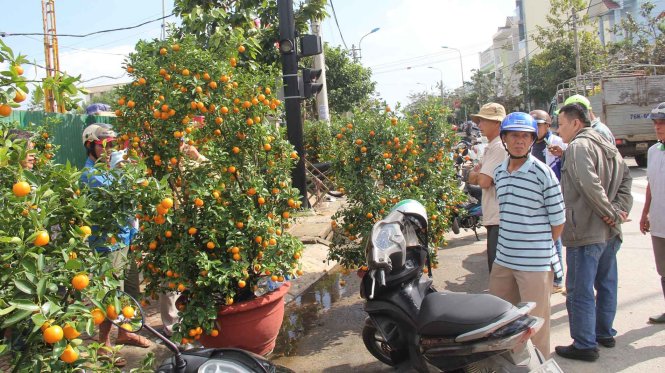 Chiều 29 tết, người dân mua hoa tại đường hoa Phạm Văn Đồng đã đông hơn, một lượng hoa đã được giải quyết - Ảnh: Trần Mai