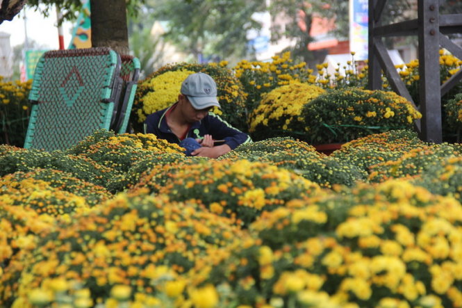 Chiều 28 tết, một người bán hoa ngồi co ro giữa rừng hoa bấm điện thoại  - Ảnh: Trần Mai
