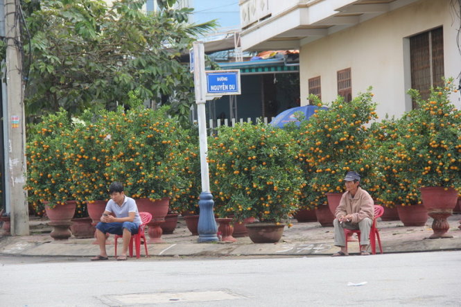 Hai người bán quất kiểng ngồi bơ vơ giữa con đường không một bóng người dù đây là chiều 28 tết - Ảnh: Trần Mai