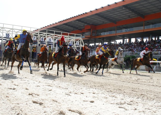 Giải đua ngựa đầu tiên được tổ chức vào sáng mùng 2 Tết tại trường đua Đại Nam - Ảnh: Xuân An