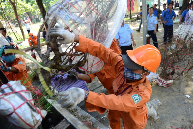 Công nhân vệ sinh TP.HCM vẫn miệt mài làm việc trong những ngày tết  -Ảnh: HỮU THUẬN