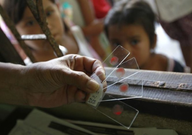 Mẫu máu của những đứa trẻ sống tại biên giới Thái Lan - Myanmar được kiểm tra ở viện sốt rét quận Sai Yoke - Ảnh: Reuters