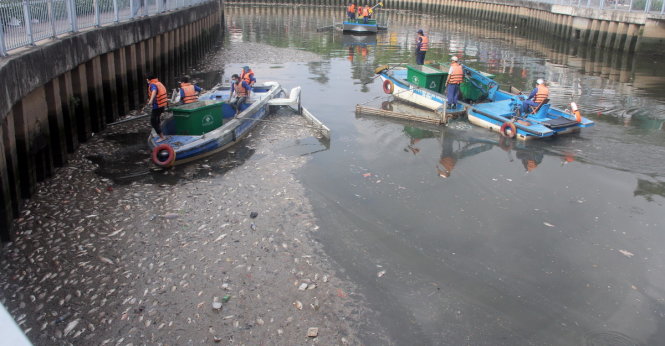 Công nhân Công ty TNHH một thành viên môi trường đô thị TP gom cá chết trên kênh Nhiêu Lộc - Thị Nghè ngày 18-5-2016 - Ảnh: Q.Khải