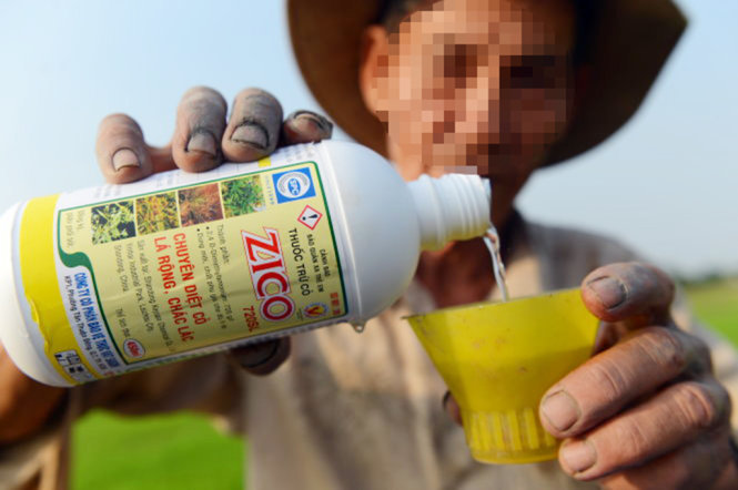 Một nông dân ấp 2, xã Tân Nhựt, huyện Bình Chánh, TP.HCM sử dụng thuốc trừ cỏ Zico có thành phần 2,4D-Dimethylamonium 720 g/l (ảnh chụp chiều 10-2) - Ảnh: QUANG ĐỊNH