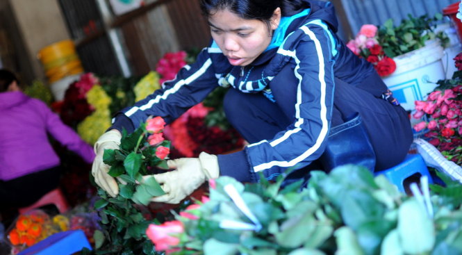 Do nhu cầu tiêu thụ cao nhưng sản lượng hoa hồng năm nay thấp nên tại một số vựa hoa ở Đà Lạt, lượng hoa hồng thu mua khá thấp - Ảnh: Lâm Thiên