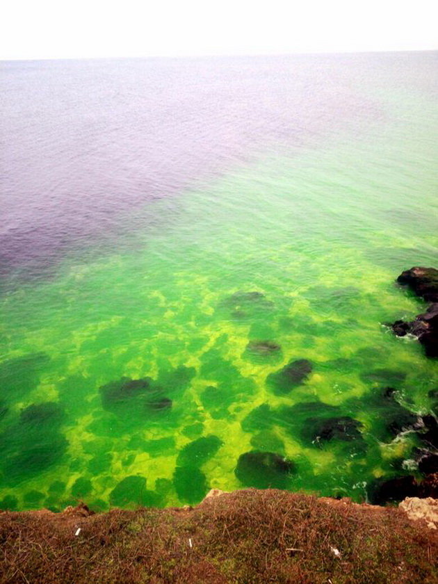 Hình ảnh nước biển Đen đổi màu xanh kỳ lạ - Ảnh: CEN