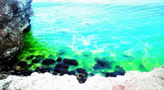 Nước biển Đen: Khám phá sự đa dạng và huyền bí của Nước biển Đen qua những bức ảnh tuyệt đẹp, khiến bạn không thể rời mắt. Hãy bắt đầu cuộc phiêu lưu đầy thú vị và cảm nhận sự lạnh lẽo màu xanh đầy sức mạnh của nước biển Đen.