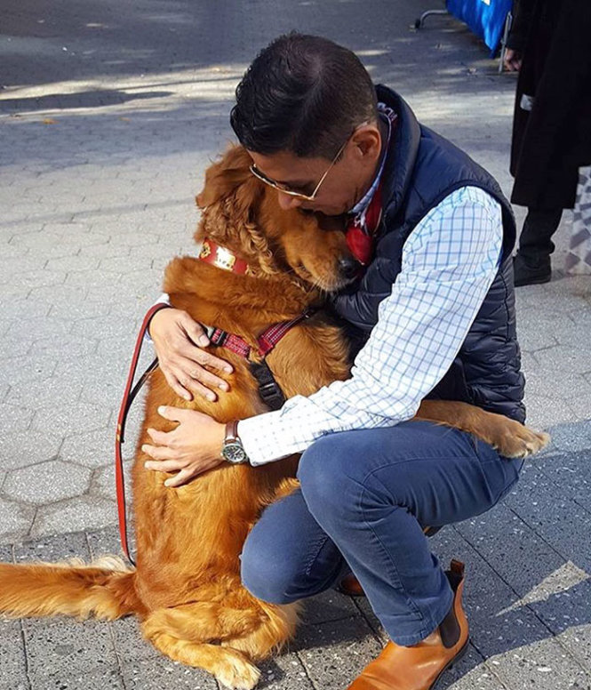 Louboutina - chú chó ôm nổi tiếng với hơn 58.000 nggười theo dõi trên Instagram