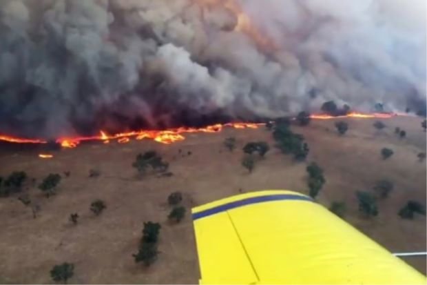 Trời nóng gây nhiều đám cháy rừng ở Úc - Ảnh: AFP
