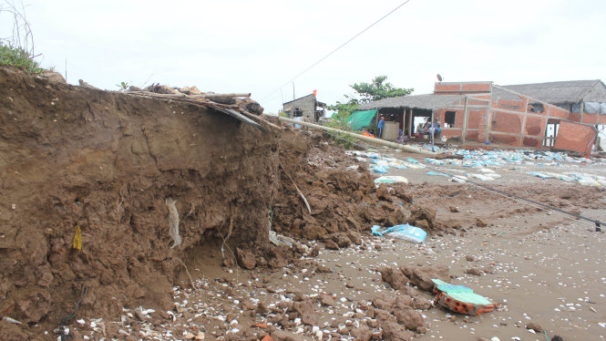 Nhiều đoạn đê bao tại khu vực cồn Nhàn, huyện Ba Tri, tỉnh Bến Tre bị sóng đánh sập và điểm sạt lở ngày càng lấn sâu vào đất liền - Ảnh: Châu Thành