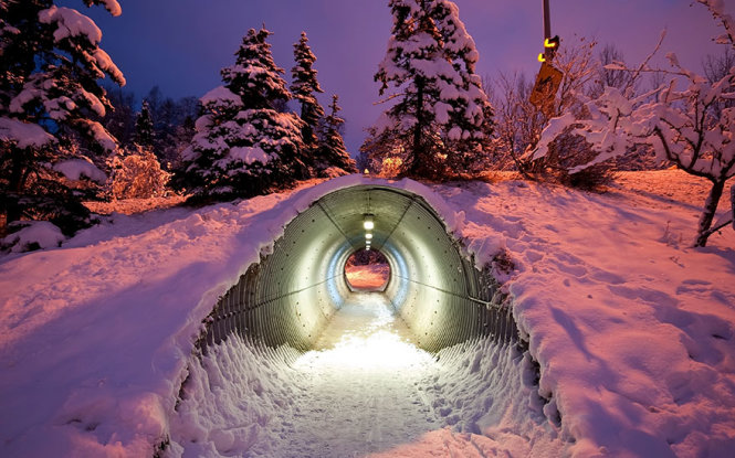 Đường hầm cho động vật ở Phần Lan