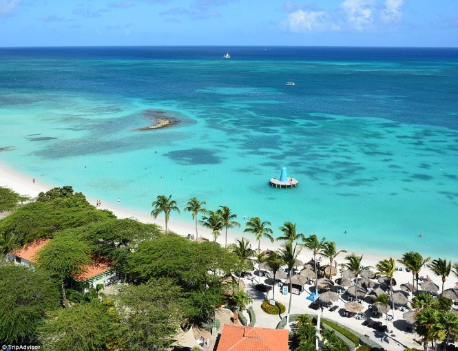 Bãi biển Eagle, Aruba, Caribbean như tranh với bờ cát trắng tinh và nước biển màu ngọc lam tuyệt đẹp