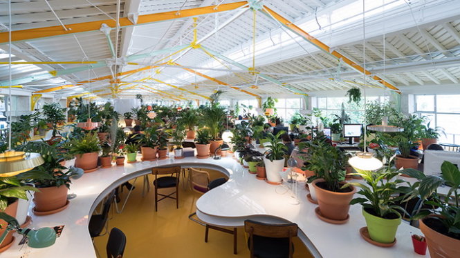 Bắt kịp xu hướng văn phòng xanh trên thế giới, khu văn phòng được thiết kế để tạo ra một không gian làm việc thân thiên, tăng cường sự gắn kết.