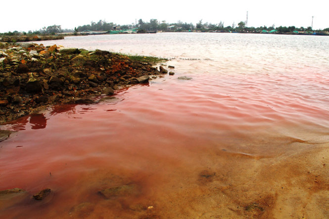 Dải nước đỏ bị sóng biển đánh dạt vào vùng biển cảng Chân Mây (xã Lộc Vĩnh, huyện Phú Lộc, Thừa Thiên – Huế) vào ngày 23-2 - Ảnh: NHẬT LINH