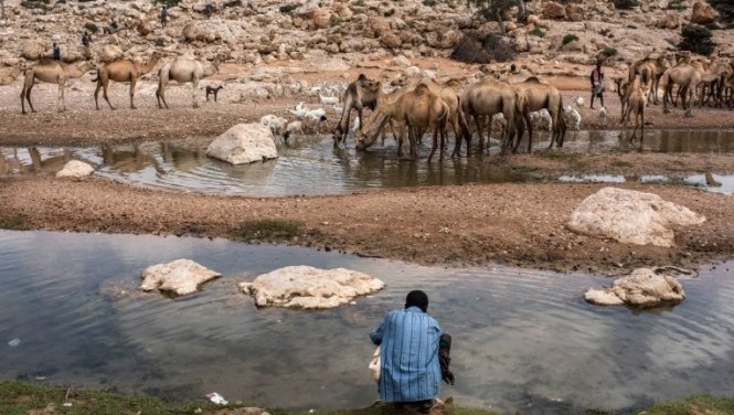Một con sông gần Dhudo, Somalia, còn lại ít nước, người dân không ngại đường xa đến đây lấy nước - Ảnh: Getty