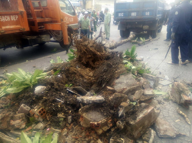 Bồn cây trước tòa nhà Bộ Công thương bị đập phá do lấn vỉa hè - Ảnh: QUANG KHẢI