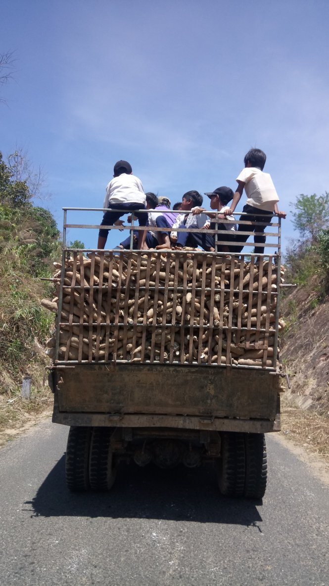 Các em học sinh trên chiếc xe tải chở đầy củ mì - Ảnh: T.NGUYÊN