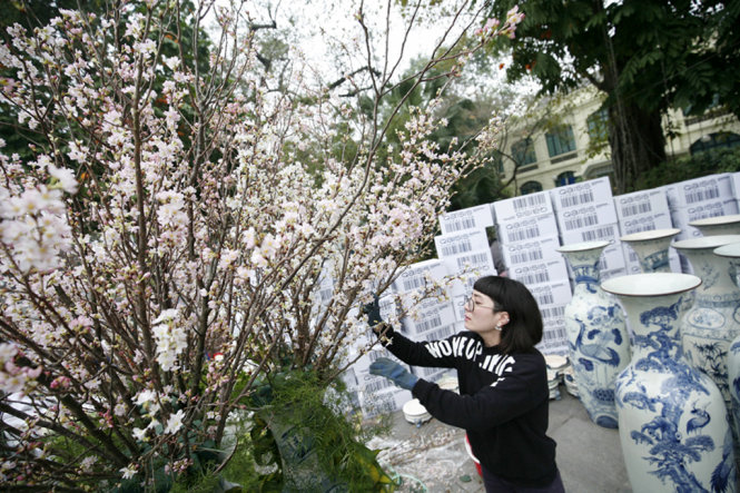 Chuyên gia người Nhật cắm và chăm sóc những cành hoa