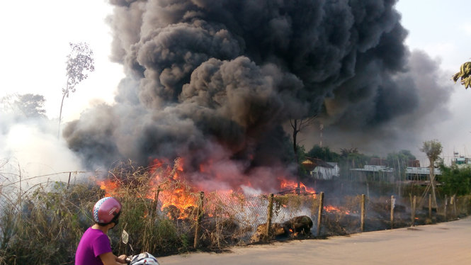Hiện trường vụ cháy với những cột khói đen bốc cao và kéo dài cả km - Ảnh: BÁ SƠN